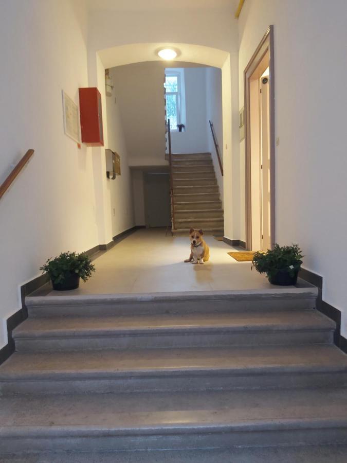 Apartman Draguc Пула Екстериор снимка